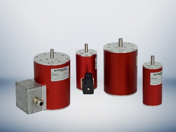 AC Synchronous Motors