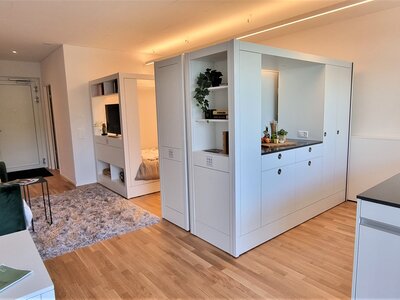 Projekt Steuerungsmodul für einen Möbelantrieb 2